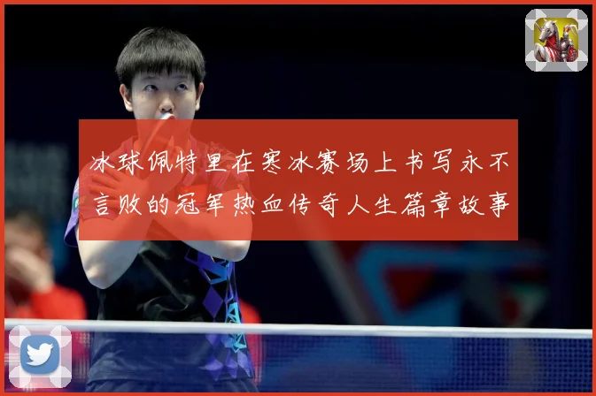 冰球佩特里在寒冰赛场上书写永不言败的冠军热血传奇人生篇章故事成长观察：最新赛事动态与深度分析